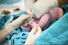 poli-areas-neonatologia